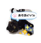 くぅ＆モカ（個別スタンプ：8）
