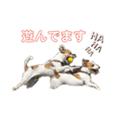 ジャックラッセルテリアの家族（個別スタンプ：38）