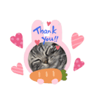猫のコロンです（個別スタンプ：6）
