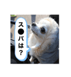 我が家のS.M.K.N.B（個別スタンプ：1）