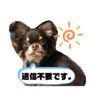 我が家のS.M.K.N.B（個別スタンプ：3）