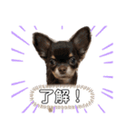 我が家のS.M.K.N.B（個別スタンプ：5）