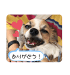 我が家のS.M.K.N.B（個別スタンプ：6）