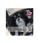 我が家のS.M.K.N.B（個別スタンプ：8）