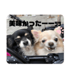 我が家のS.M.K.N.B（個別スタンプ：10）
