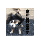 我が家のS.M.K.N.B（個別スタンプ：11）