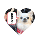 我が家のS.M.K.N.B（個別スタンプ：12）