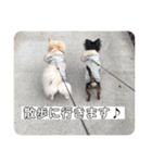 我が家のS.M.K.N.B（個別スタンプ：13）