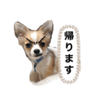 我が家のS.M.K.N.B（個別スタンプ：14）