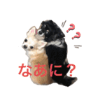 我が家のS.M.K.N.B（個別スタンプ：15）