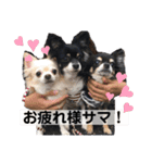 我が家のS.M.K.N.B（個別スタンプ：16）