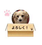 コナン＆宇宙 2（個別スタンプ：5）