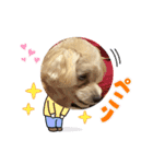コナン＆宇宙 2（個別スタンプ：10）
