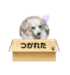 コナン＆宇宙 2（個別スタンプ：12）