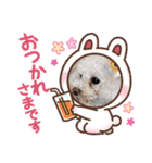 くうらてるかver.2（個別スタンプ：14）