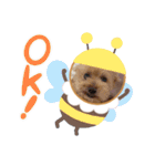 くうらてるかver.2（個別スタンプ：16）