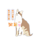 せつない日（個別スタンプ：8）