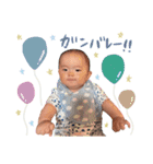 ハルハルstamps（個別スタンプ：20）
