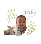 ハルハルstamps（個別スタンプ：24）