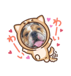 ぶー、大福、ゴンちゃんたち（個別スタンプ：8）