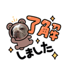 ぶー、大福、ゴンちゃんたち（個別スタンプ：15）