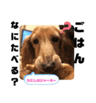 ぷりぷりプリンちゃんのスタンプ（個別スタンプ：11）