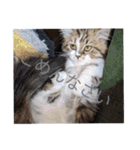 猛獣くるみの日常（個別スタンプ：4）