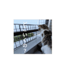 猛獣くるみの日常（個別スタンプ：15）