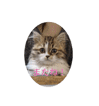 猛獣くるみの日常（個別スタンプ：18）