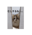猛獣くるみの日常（個別スタンプ：26）