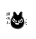 くろネコさん（個別スタンプ：12）