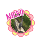 k.nオリジナル7（個別スタンプ：3）