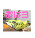 k.nオリジナル7（個別スタンプ：5）