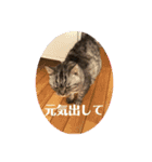 k.nオリジナル7（個別スタンプ：7）