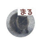 k.nオリジナル7（個別スタンプ：11）