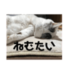k.nオリジナル7（個別スタンプ：16）