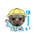 プードルひなちゃん2（個別スタンプ：6）