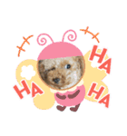 プードルひなちゃん2（個別スタンプ：7）