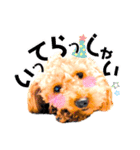 ふわもこトイプードルのマルとクー（個別スタンプ：6）