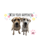 ラブラドール Lab ＆ Peace 1（個別スタンプ：20）
