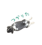 たれ耳うさぎのたまちゃん（個別スタンプ：3）