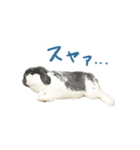 たれ耳うさぎのたまちゃん（個別スタンプ：8）