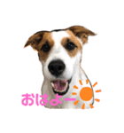 テンててん☆（個別スタンプ：8）