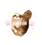あんちゃこさん②（個別スタンプ：6）