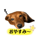 あんちゃこさん②（個別スタンプ：14）