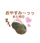 インコの豆子（個別スタンプ：7）