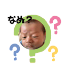 たいち君のスタンプ①（個別スタンプ：13）
