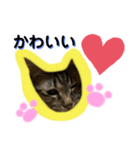 teteco（個別スタンプ：3）