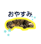 teteco（個別スタンプ：11）