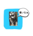 teteco（個別スタンプ：13）